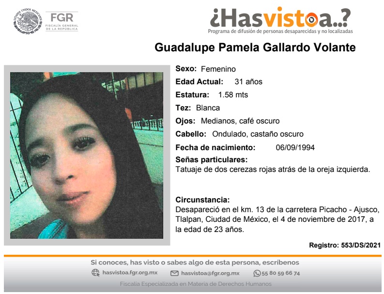 GUADALUPE PAMELA GALLARDO VOLANTE