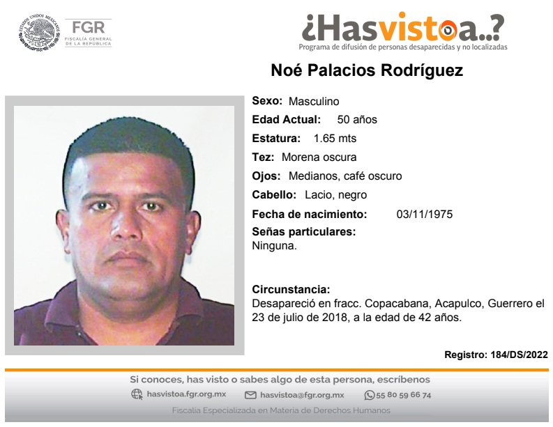 NOÉ PALACIOS RODRÍGUEZ