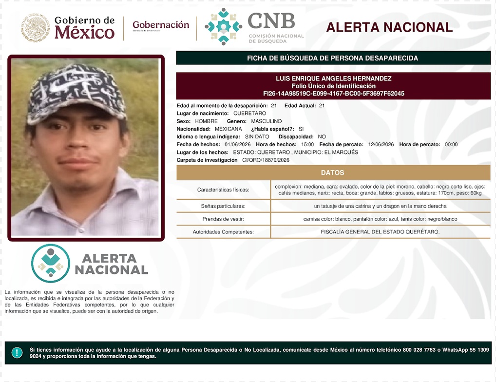 LUIS ENRIQUE ANGELES HERNÁNDEZ